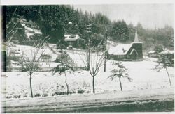 Occidental, California after a snowstorm