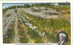 Luther Burbank Experiment Farm with oval insert photo of Burbank, about 1900