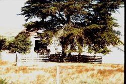 Unidentified barn in western Sonoma County, 1982