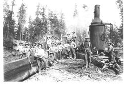 Ralph Mazzotti, Pete Pretti and other loggers at an unidentified location near Occidental, California