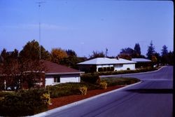 Houses at Tocchini and Dorthel Streets, Sebastopol, California, 1970