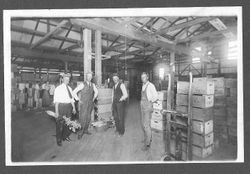 Inside a packinghouse, about 1915--possibly a flower of vegetable packinghouse