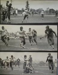Analy High School football game vs Petaluma at Analy, Saturday, November 5th, 1949