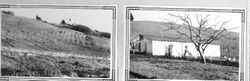 Original photos used as real estate advertisement with typed information of the Elliot Ranch property in Freestone in 1937