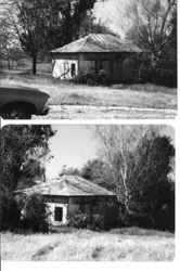 Luther Burbank's Gold Ridge Experiment Farm cottage in April, 1974 before restoration in 1983