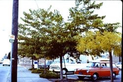 Parking lot at South Main Street and Burnett Street, looking north, January 1980
