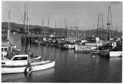 Boats in Bodega Bay harbor