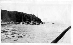 Fishing boats at a harbor in Bodega Bay, California, about 1910