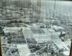 Aerial view of Graton, California, about 1955, showing Highway 116, the Oscar Hallberg property and the town of Graton