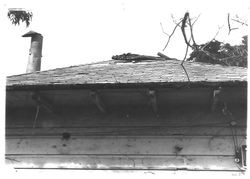 Luther Burbank cottage in 1978 before renovations began