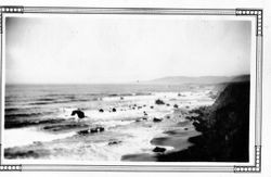 Looking north from Salmon Creek, Bodega Bay, California, about 1930