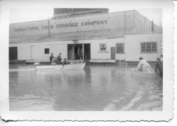 1951 floodwaters surround the Sebastopol Cold Storage Company and two boats with people ply the water