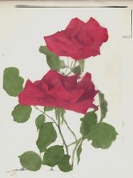 Two red roses hand colored in deep red, about 1930s