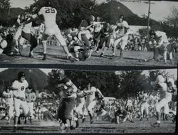 Analy High School Tigers football 1948--Analy vs Healdsburg at Healdsburg daytime game