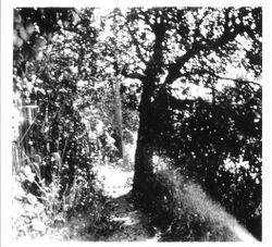 Footpath across from present day Pacific (Fiesta) Market taken in 1910