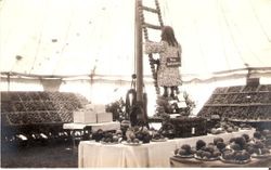 Sebastopol Gravenstein Apple Show, year unknown, display of a girl mannequin on ladder, both made of whole and dried apples