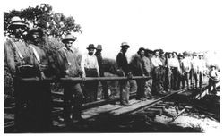 Crew of 19 workers on the P&SR railway laying tracks in an unidentified location prior to 1904