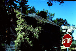 Old house at corner of Mill Station Road and Occidental Road, Sebastopol, California, 1970