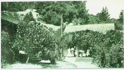 Rose Hill cottage, Camp Meeker, California, 1908