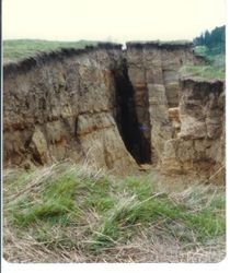 View of the damage caused by a landslide at 2540 Blucher Valley Road, south of Sebastopol, California, April 1983