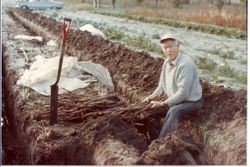 Kichizo Morita harvesting burdock at the Morita apple ranch in Sebastopol, February 1978