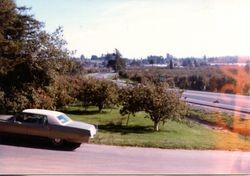 Hallberg Apple Farm roadside stand sign along Gravenstein Highway North (Highway 116), Sebastopol, California, 1979