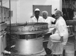 Three Vacu Dry workers at the ring slicer machine, about 1960