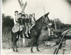 Children of Tom E and Laura E Miller Barlow on a mule at a railroad crossing