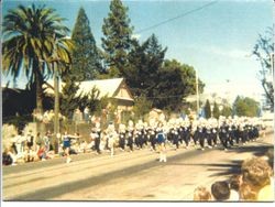 Apple Blossom Parade down Main Street Sebastopol with the Analy High School marching band celebrating the annual Sebastopol Apple Blossom Festival