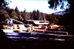 Berry's Sawmill in Cazadero, California, 1970