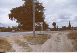 Hallberg Apple Farm roadside stand sign along Gravenstein Highway North (Highway 116), Sebastopol, California, 1979