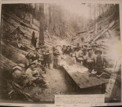 Lunch time in the Gualala woods of Mendocino County, about 1905