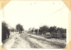 Looking north on the P&SR tracks along Petaluma Avenue (Gravenstein Highway South) in Sebastopol 1904