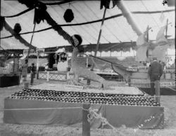 Gravenstein Apple Show display by Forestville of a seal balancing a beach ball on its nose