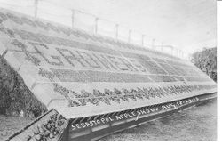 1913 Gravenstein Apple Show display of boxes of stacked apples, green and red that spell out "Growers"
