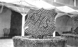 Apple display from Sebastopol's Gravenstein Apple Show