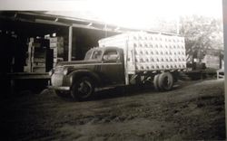 Furusho's Apple Cannery in Sebastopol and a, about 1940 truck loaded with boxes of apples