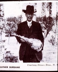 Luther Burbank holding a plant or bulb of a plant, about 1920