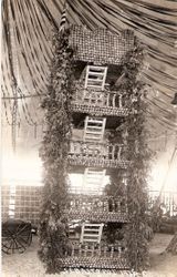1915 Gravenstein Apple Show display of Camp Meeker Living Tower