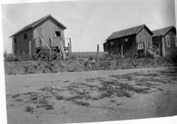 Two Riddell cabins at Bodega Bay, about 1918