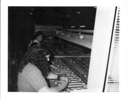 Workers at an apple sorting table working with Jonathon apples, about late 1970s