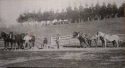 Three men with two teams of horses ready to build a country road, about 1880