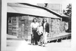 Two female workers and Jess Silva stand in front of the Silva apple dryer on Cherry Ridge Road in Sebastopol, 1945