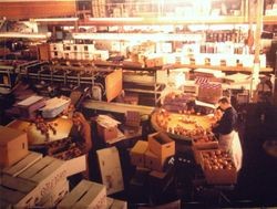 Interior of the Twin Hill packing plant on Elphick Road and Pleasant Hill Road in Sebastopol