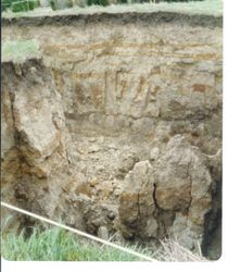 View of the damage caused by a landslide at 2540 Blucher Valley Road, south of Sebastopol, California, April 1983