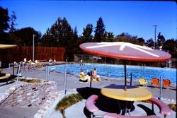 Ives Park Pool in Sebastopol