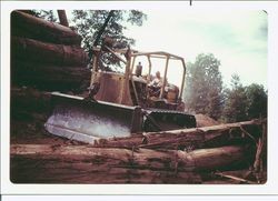 Harry Welsh operating D7 Cat in the redwoods, about 1951