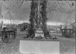Gravenstein Apple Show exhibit, about 1915 in Sebastopol, showing several displays of apples