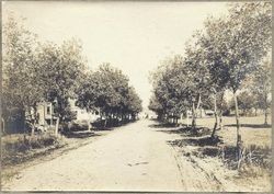 Olive Street in Santa Rosa, 1904