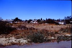 View from Morris Street, in Sebastopol, California, looking west toward Johnson Street across the northeast end of the Barlow property